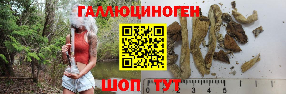 Псилоцибиновые грибы MAGIC MUSHROOMS Биробиджан